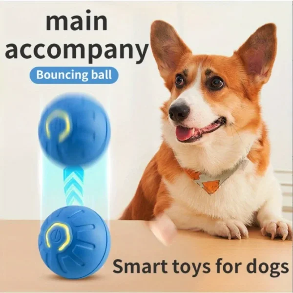Jumping Dog Toy Ball